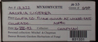 Image Associated With the Occurence